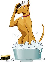 Dog Baths
